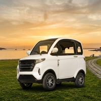 Nouvelle voiture électrique portable EEC, berline mini, propulsion arrière, 50 kW, manuelle, simple transmission, sièges légers, caméra métallique, sans permis de conduire
