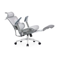 Chaise de bureau ergonomique moderne avec appui-tête 3D réglable, dossier en maille, repose-pieds coulissant entièrement en maille et accoudoirs 6D en PU pour bureau à domicile