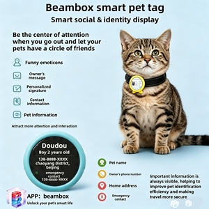 Badge nominatif en plastique Beambox <span class=keywords><strong>Niki</strong></span> Pet, réglable, rond, en silicone, style mignon, boîte mystère, pour chiens et chats - Product Image 3