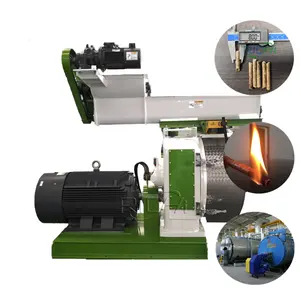 CE Approved Turn-key Biomass Pellet Plant / Wood Pellet Mill Supplier Henan Richi Machinery