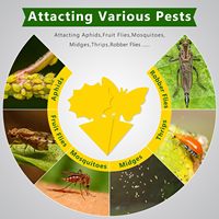 Pièges à mouches des fruits d'intérieur, pièges à moucherons des champignons 48 pièces pour plantes, jaunes, extérieur