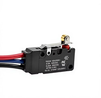 Micro-interrupteur étanche WZ100A05-W2 avec fil, étanchéité IP67, divers styles disponibles, fabriqué en usine, rouleau en laiton, courant élevé 10A