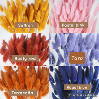 Bouquets de Lagurus séchés naturels de haute qualité, herbe à queue de lapin - 60 tiges, fleurs décoratives pour mariage, maison, fête des mères, Noël
