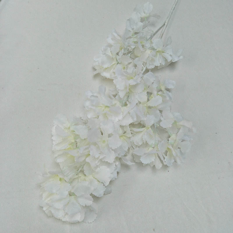 สีขาวธรรมดา