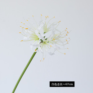 Vente chaude <span class=keywords><strong>Lycoris</strong></span> rouge araignée lys Arrangement de fleurs à la main pièce maîtresse florale pour les mariages fêtes en gros Manchu Shahua - Product Image 3