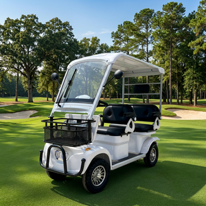 Nuevo Mini Vehículo Eléctrico de Ocio de 3 Plazas, Carro de Golf de Doble Fila de 60V, 650W/800W, Faros LED, 41-53km, para Parques, Resorts y Uso Comercial - Product Image 1