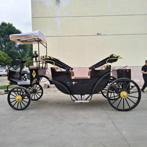 Venta Directa de Fábrica en China: Carruaje de Caballos Turístico de 2 Filas, Carruaje de Caballos Victoriano para Bodas - Product Image 2