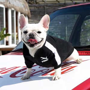 Köpek fermuar Hoody tasarımcı adı marka kazak mektup baskı köpek fransız Bulldog Pet giyim - Product Image 2