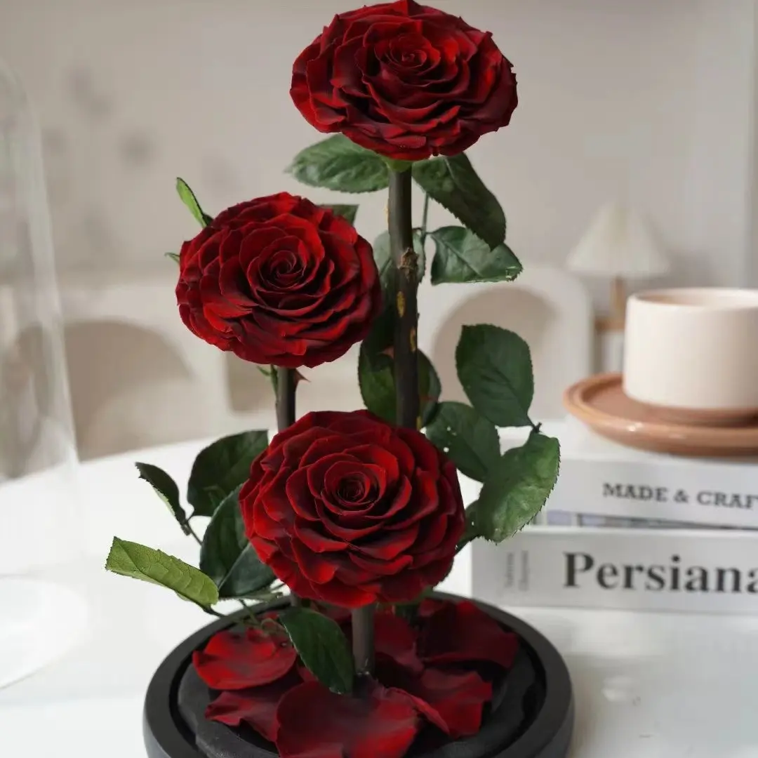 Lujo Valentine GiftThree Forever Roses Flor preservada estabilizada Rosa roja preservada en una cúpula de cristal