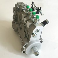 Pompe d'injection de carburant 4946526 BYC 5342393 pour moteur DCEC 4B3.9-G1 du générateur Cummins