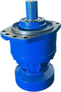 Fábrica Profesional Acepta Motores Hidráulicos Personalizados 172-15000Ml/R 31.5MPa 0-200r/min - Product Image 2