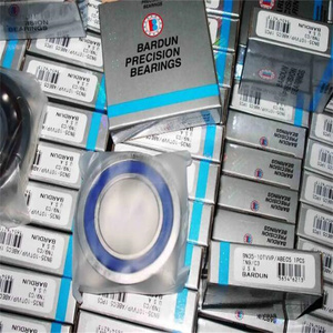 Cojinete de bomba molecular BARDEN C30X103HX205Y33DF para bomba turbomolecular magnética <span class=keywords><strong>ATH</strong></span>/<span class=keywords><strong>1000</strong></span>/1300/1600/2300 - Product Image 5