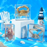 Collection de spécimens de crabes en résine - Crabes réels emprisonnés dans l'ambre, jouet éducatif scientifique, ornement de bureau et présentoir biologique