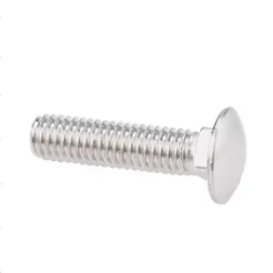 M6 M8 M12 M16 INOX Stainless Steel SS304 SS316 SS316L A2 A4 70 80 Mushroom Head Square Neck Carriage Bolt DIN603