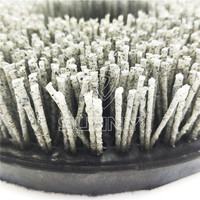 Brosse de ponçage industrielle en diamant de 250 mm pour finition antique de pierre, polissage de sol en béton, personnalisable OEM, en plastique