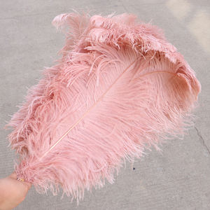 Plumes d'autruche colorées, 1 pièce, 65-70cm, Plumes naturelles, pour décoration de carnaval, <span class=keywords><strong>mariage</strong></span>, fête à domicile, vente en gros - Product Image 1