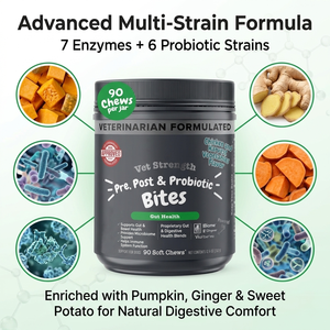 Veterinary-Strength Dog Probiotic + Prebiotic + Postbiotic Soft Chews with Pumpkin Digestive Enzymes &amp; Immune Support - Product Image 3