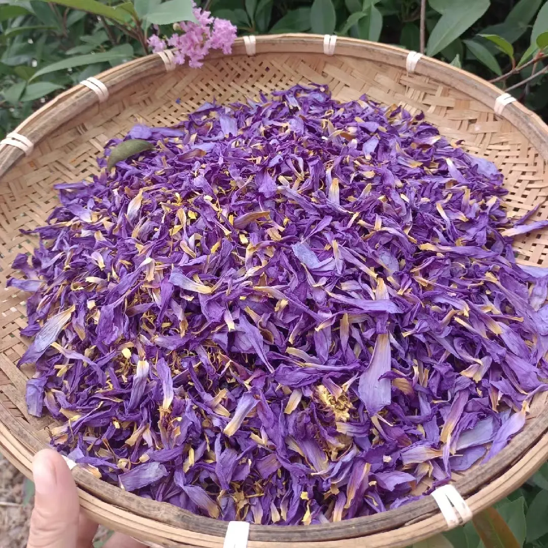 Hot selling health flower tea products dried blue lotus flower petals