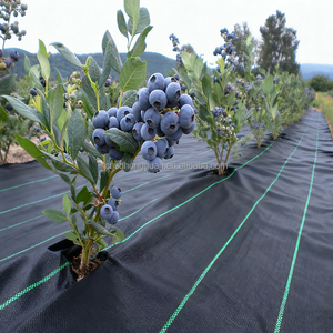 Làm vườn và rau Weed kiểm soát Mat đục Weed rào cản vải dệt che phủ mặt đất - Product Image 4