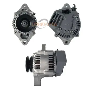 1002114520 1623164010 1623164011 Lester 12190 12V 40A Voor Denso Dynamo Voor Kubota Auto