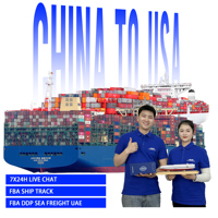 Agent maritime Chine Émirats Arabes Unis DDP DDU Fret maritime Dédouanement Taxe payée Repackage Livraison porte-à-porte 3PL Transport de marchandises DDP LCL FCL