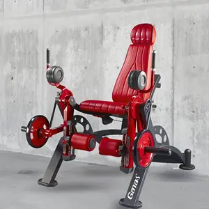 Panatta hochwertige Gym-Ausrüstung aus Stahl hochwertige Platten-gerodete Rudermaschine
