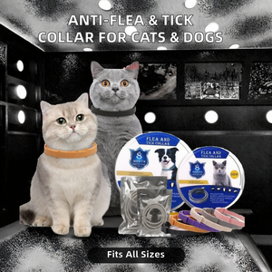 Collier <span class=keywords><strong>anti</strong></span>-puces et <span class=keywords><strong>anti</strong></span>-tiques pour <span class=keywords><strong>chien</strong></span>, imperméable, <span class=keywords><strong>anti</strong></span>-moustiques, <span class=keywords><strong>anti</strong></span>-parasites, pour chiot, OEM, 8 mois de protection longue durée, réglable, multicolores - Product Image 6