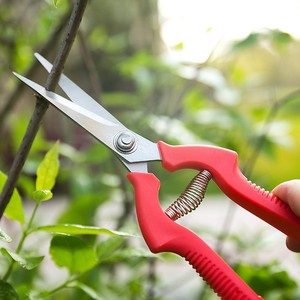 Chuyên nghiệp cấp công nghiệp mũi dài vườn cắt tỉa cắt thẳng lưỡi thép không gỉ với khóa an toàn tay pruner - Product Image 5