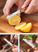 Couteau de jardinage pliable à lame en acier inoxydable et manche en bois, couteau de greffage pliable pour la plantation
