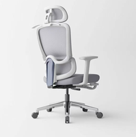 Chaise de bureau moderne avec soutien lombaire, dossier en maille respirante, hauteur réglable, design ergonomique, siège confortable, atelier, bureau à domicile
