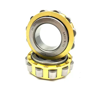 High Quality Low Noise Cylindrical Roller Bearing Without Inner Ring RNU 317 318 319 320 321 322 324