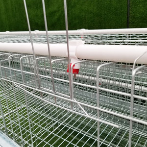 Cage de batterie Couche Oeuf de poulet cages de Type a pour couches Ferme avicole de couche automatique 96/120/128/160 Capacité Cage de ponte d'oiseaux - Product Image 3