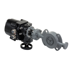 Control Automático Lq1-10 con Actuador 220v Tipo On-off - Product Image 6