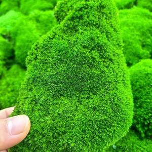 Grand bloc de gazon artificiel gris éternel mur fleur séchée peau de pelouse végétation haute mousse de cheveux blancs pour Thanksgiving - Product Image 3