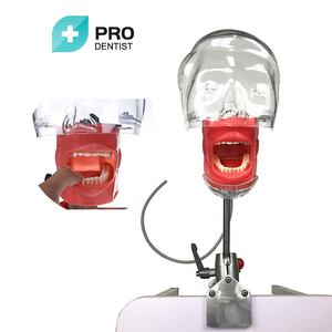 Pratique d'implant modèle de mâchoire dentaire au meilleur prix - Product Image 3