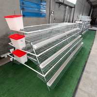 Cage à batterie de type A pour poules pondeuses, très demandée, pour l'élevage avicole au Nigeria, au Kenya, au Ghana, aux Philippines – Prix usine