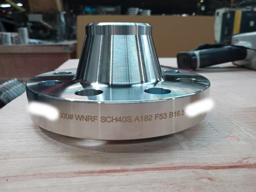 Customize ANSI DIN JIS Stainless Steel 304 316 PL Flange