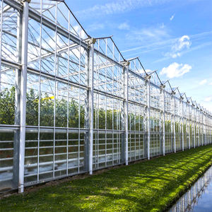 Grand système hydroponique Venlo Glass Green House Invernadero pour <span class=keywords><strong>tomates</strong></span>, laitues, <span class=keywords><strong>serres</strong></span> agricoles aquaponiques Smart Farm - Product Image 1