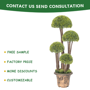 PZ-<span class=keywords><strong>3</strong></span>-205 실내 가정 장식 안티 UV 가짜 토피 녹색 공 회양목 식물 냄비와 인공 분재 나무 - Product Image 2