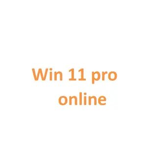 Win 11 Professional Win 11 Pro Key Online Activation Email Delivery