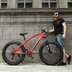 Bicicletta Ibrida da Montagna con Freni a Disco e Pneumatici Larghi, 21 Velocità, Telaio in Acciaio al Carbonio, Forcella Ammortizzata per Adulti, Prezzo di Fabbrica Cinese - Product Image 4