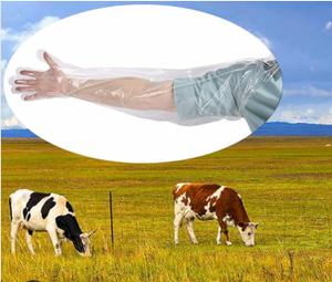 Kits Veterinarios, Insumos para Inseminación Artificial en Vacas, Guantes Largos para Inseminación en Bovinos - Product Image 4