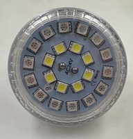 Usine d'éclairage en Chine Programme automatique Rgbw Pixel Light LED RGBW Lampe 60mm E14 Amusement Ride Ampoule Cabochon