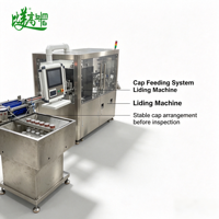 Machine intelligente entièrement automatique de détection par vision pour l'impression de codes sur capuchons, l'inspection des défauts de surface et l'élimination des défauts (huile, poussière, bulles, cicatrices)