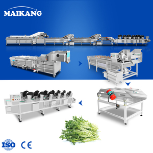 Chaîne <span class=keywords><strong>de</strong></span> blanchiment continu haute performance pour la pré-cuisson des asperges, des carottes et des oignons - Product Image 1