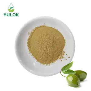 Factory Supply Natural Olive Leaf Extract Oleuropein 10% 20% 30% 80% Olive Leaf Powder