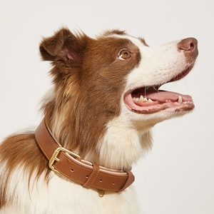 प्रीमियम लीची अनाज पूर्ण-अनाज चमड़े के कुत्ते कॉलर-एडजस्टेबल एंटी-चैफिंग - Product Image 6