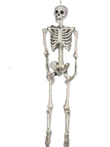 Esqueleto de Calavera Colgante para Halloween, Decoración de Casa Embrujada, Cuerpo Humano, Sala Secreta, Momia, Accesorios Divertidos para Escenas - Product Image 1