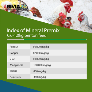 Nhà Sản Xuất Cung Cấp Thức Ăn Lớp Chelated Hữu Cơ Đa Khoáng Chất Bổ Sung Cho Gia Cầm Gà Thịt Lớp Gà - Product Image 5