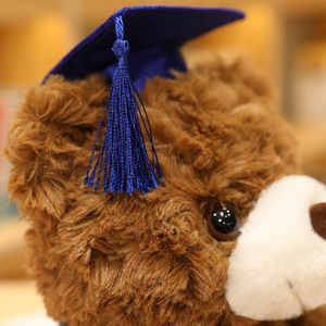 Bachelor ours nouveau chapeau docteur ours graduation ours poupée en peluche oreiller ornements cadeau en gros - Product Image 2